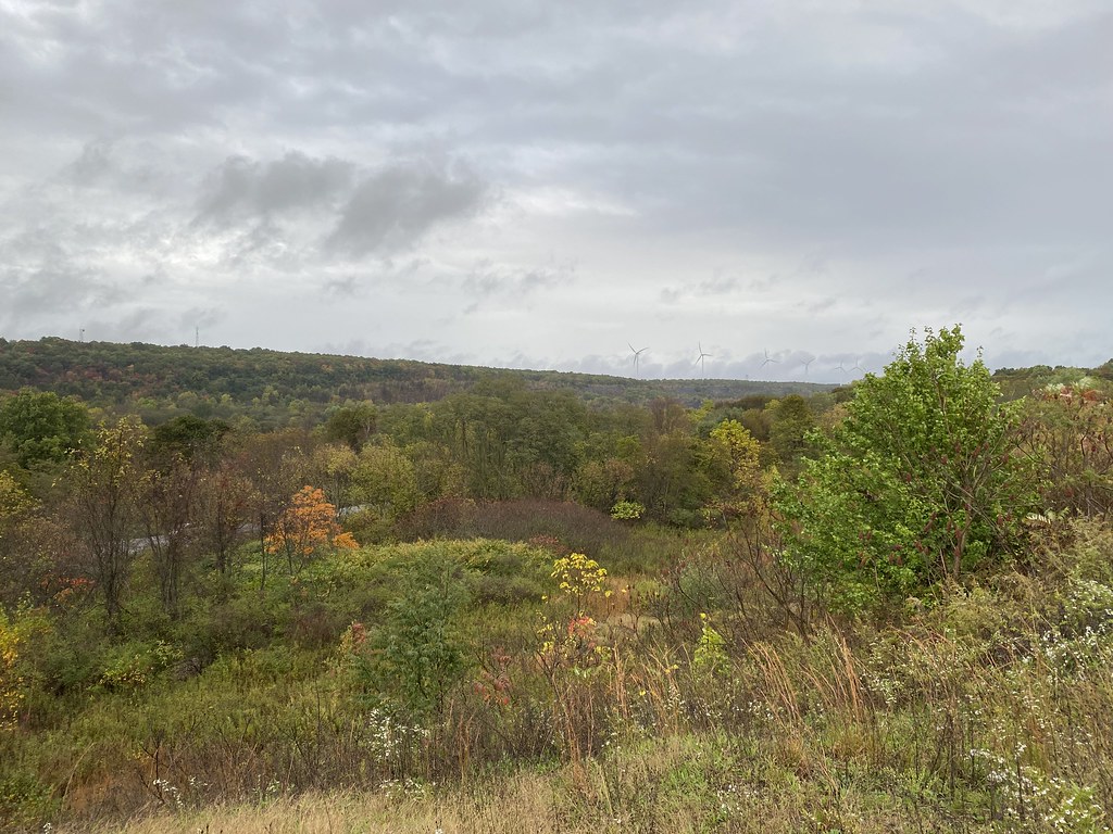 Centralia Pennsylvania Coal Fire 2021 a photo on Flickriver