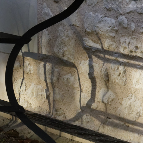 wall art 2021 Eveline Luanco Flickr