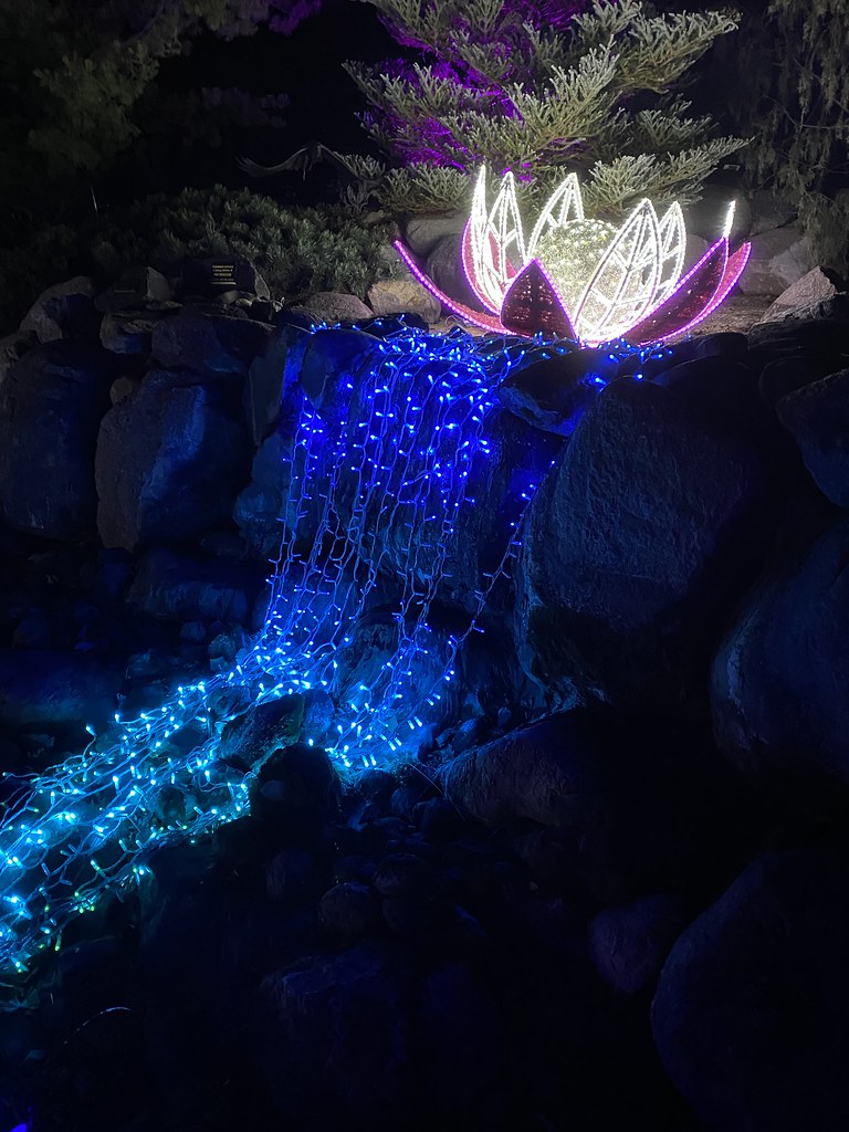 Minnesota Arboretum Stream of Lights 1 The University of M… Flickr