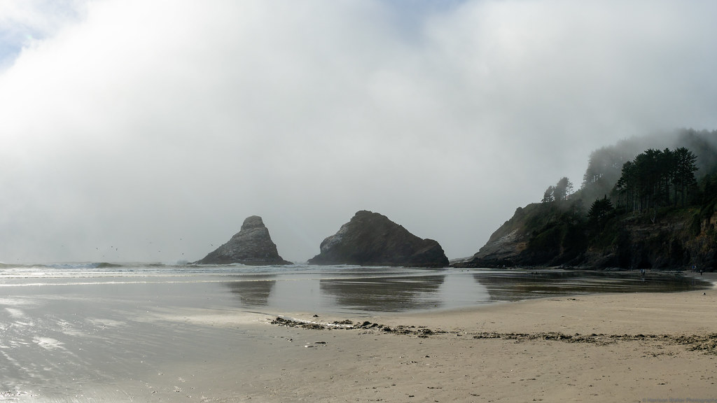 Cape Cove Harrison Walter Flickr