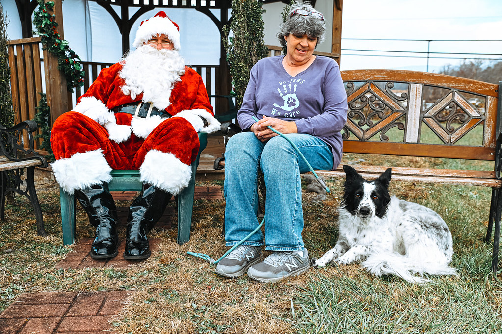santa 23 Pickens County Animal Shelter Flickr