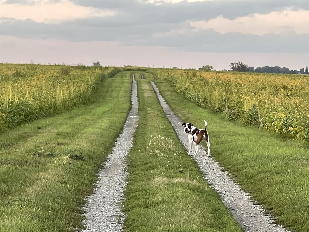 Iowa dump Michelle Hausman Flickr