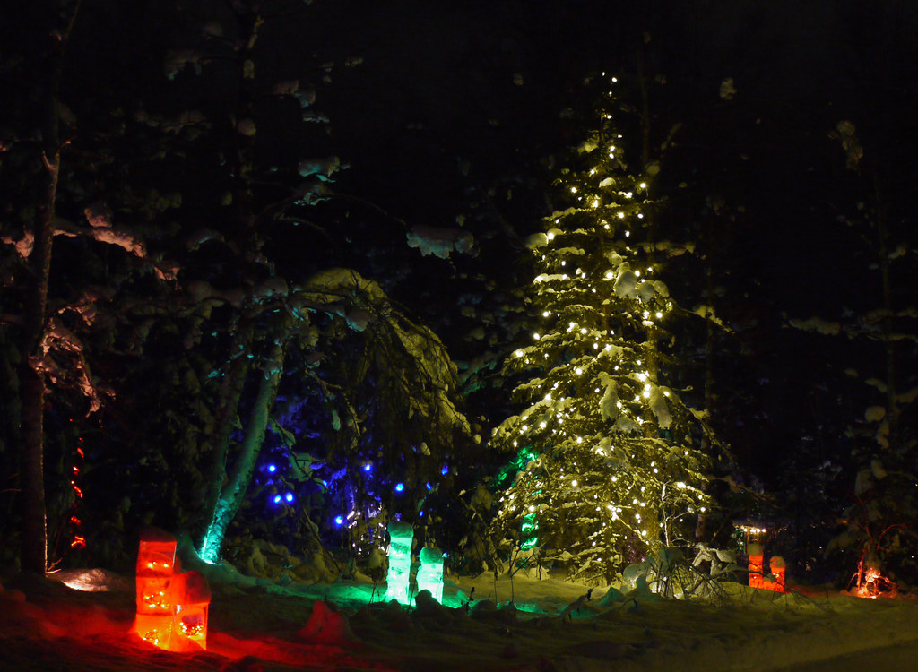 Alaska Botanical Gardens Holiday Lights 2021 At the annual… Flickr