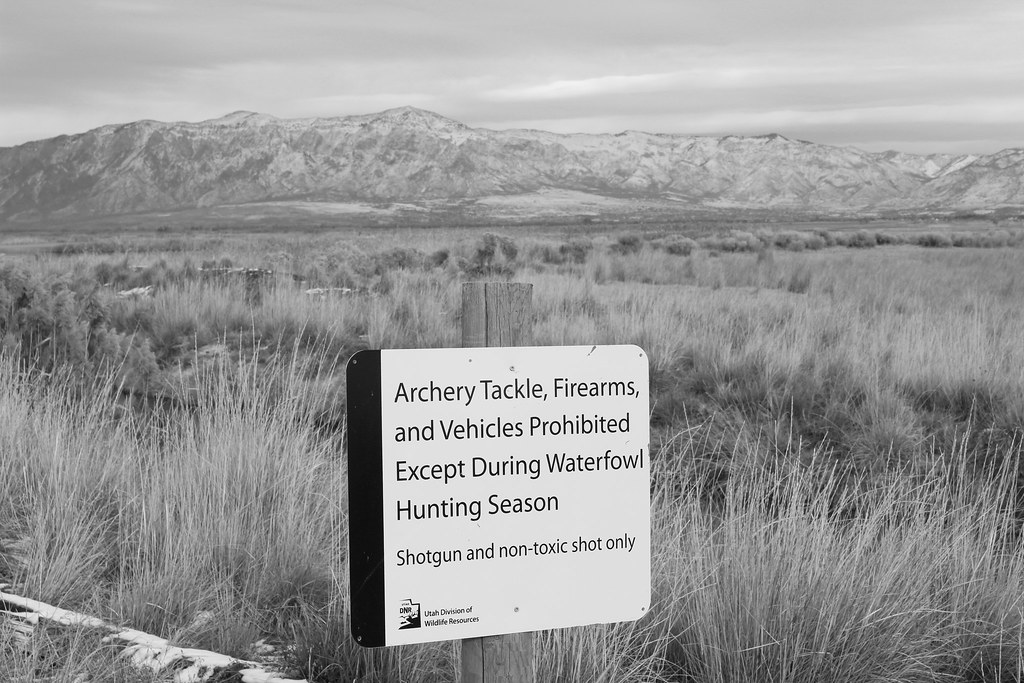 Refuge004_Clarissa_Hadley Clarissa Hadley Flickr