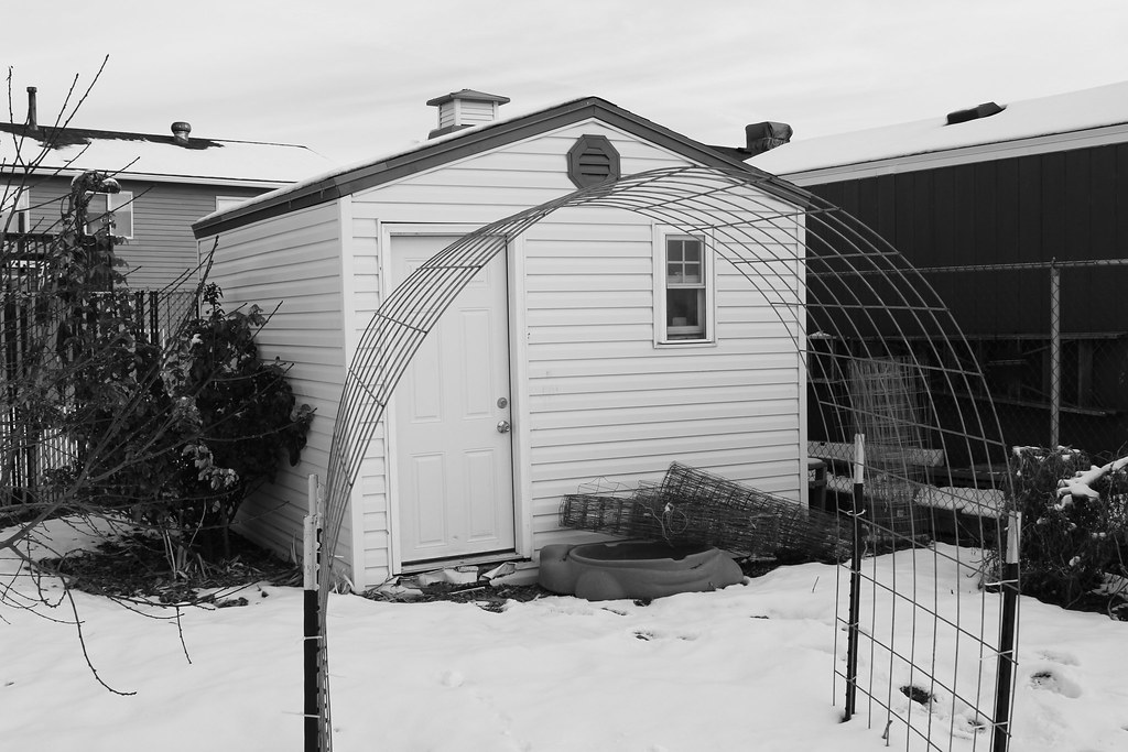 Shed001_Clarissa_Hadley Clarissa Hadley Flickr