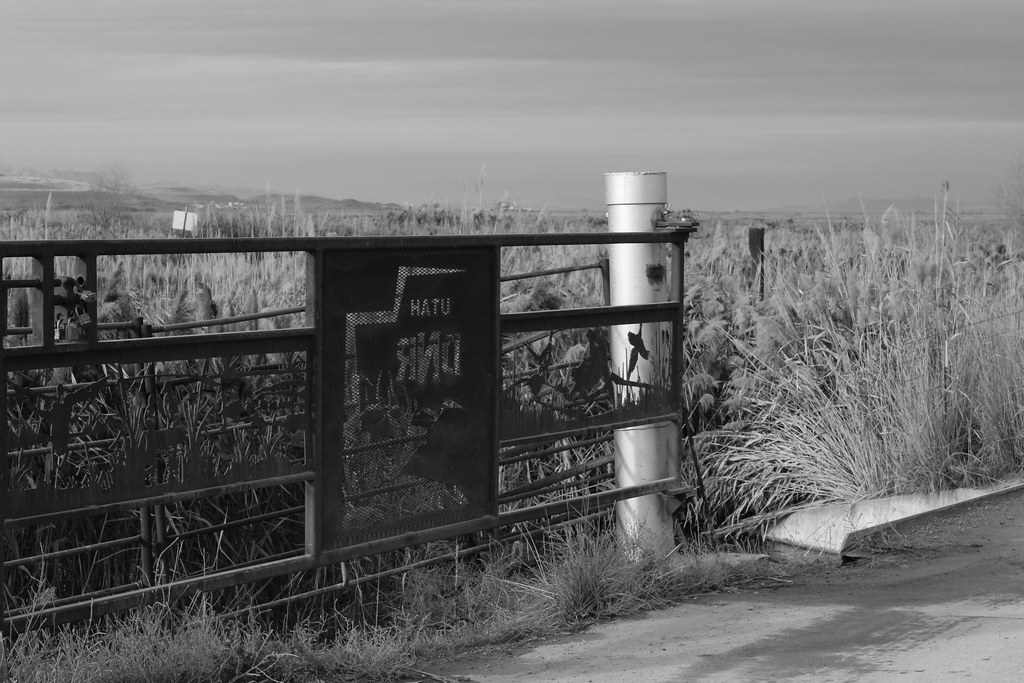 Gate005_Clarissa_Hadley Clarissa Hadley Flickr