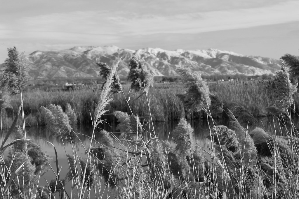 Mountain002_Clarissa_Hadley Clarissa Hadley Flickr