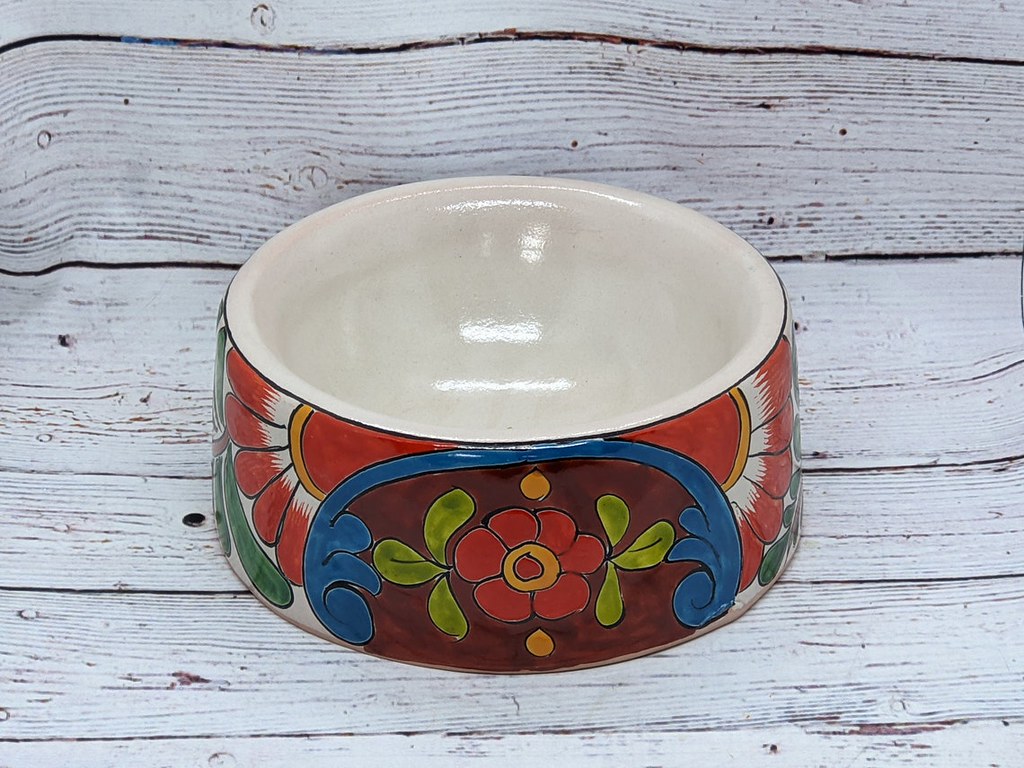 Dog Dish > Super Cute & Colorful Ceramic Dog Food Bowl D… Flickr