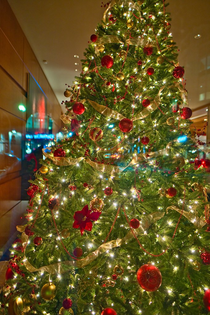 Christmas Tree On Boylston Street, Boston, MA Chris Rycroft Flickr