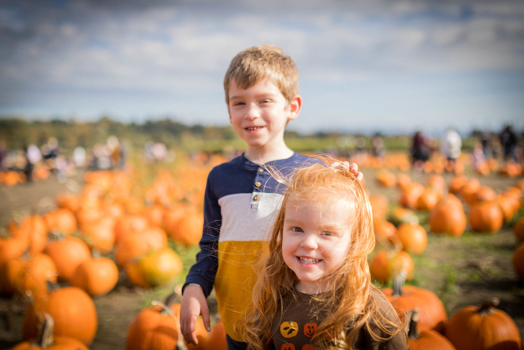 Pumpkin Patch 2021 Flickr