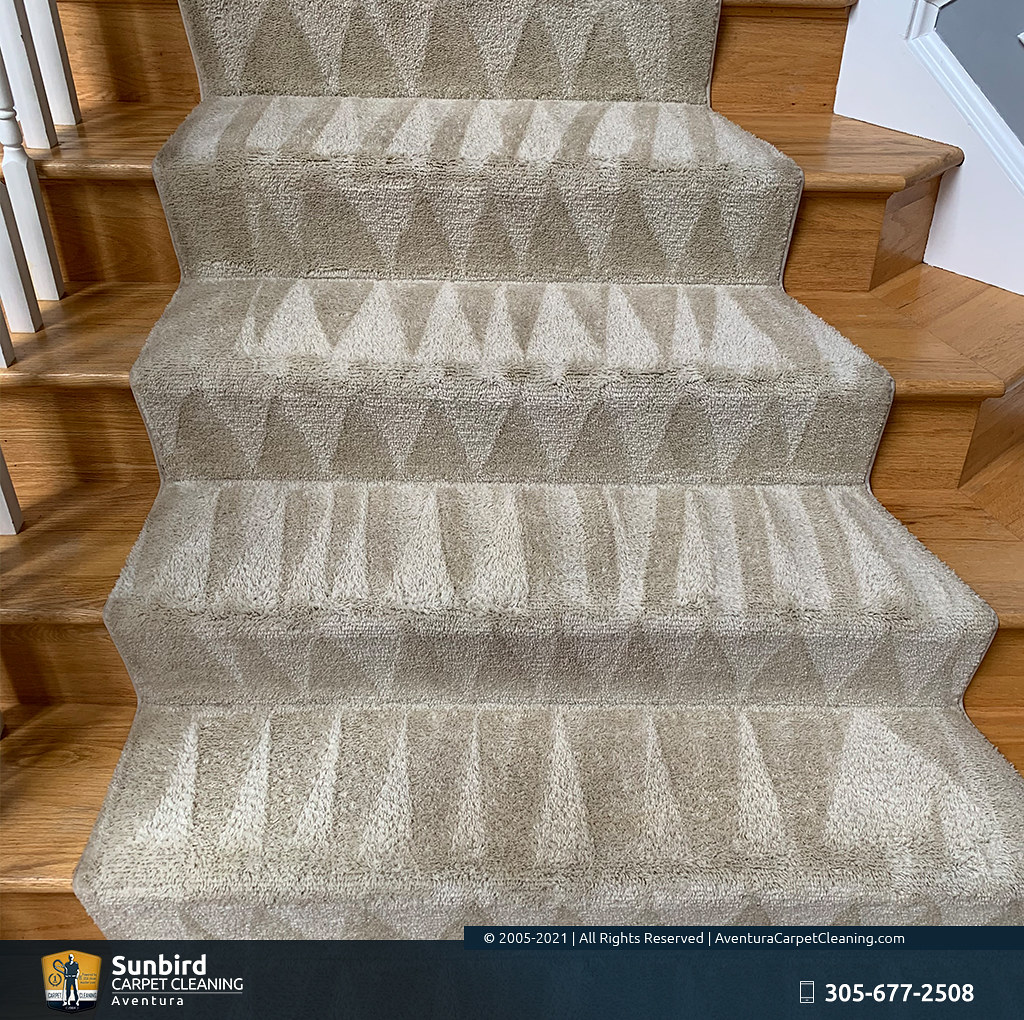 Aventura, Florida Carpet Cleaners Water Damage Restora… Flickr