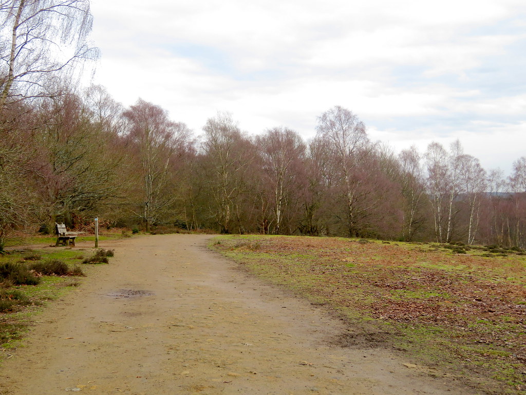 584. Chilworth & Blackheath, Surrey Hills Flickr