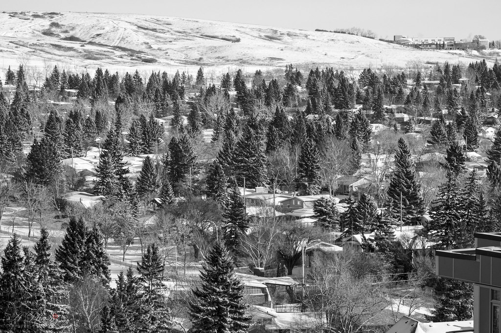 White Christmas Calgary, AB Arindam Phani Flickr