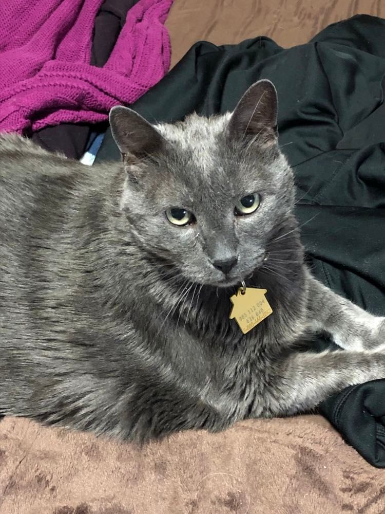 Yuba on Christmas 2021 Yuba on Christmas Day in Yubari in … Flickr