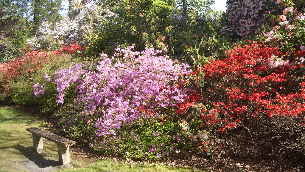Exbury Gardens, Hampshire Bournemouth Andy Flickr