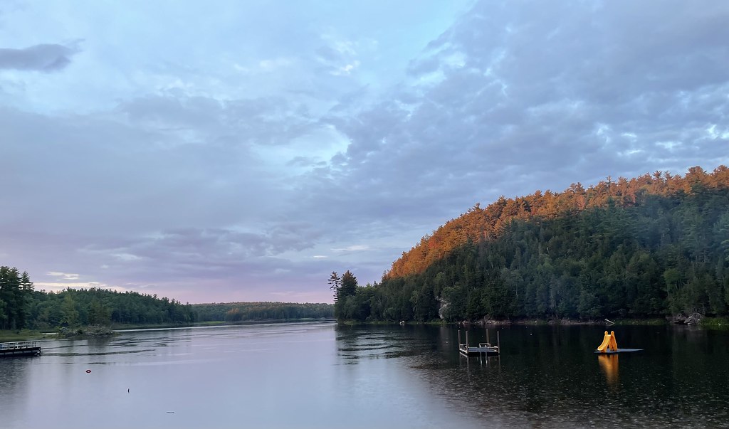 Forester Falls Akshara Nandi Flickr