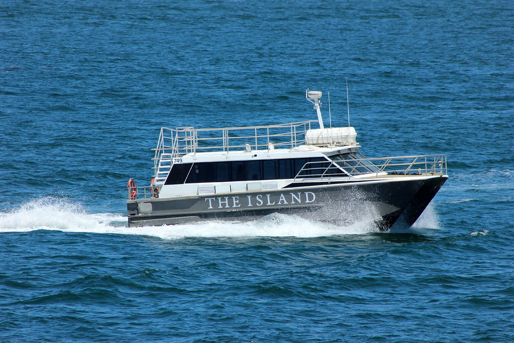 THE FERRY [1] THE FERRY transports party animals to THE IS