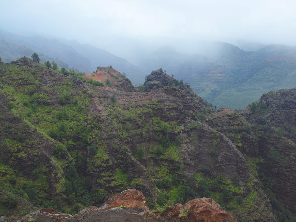 PB058599 Waimea showers Waimea Canyon, Kauai, looking uphi… Flickr