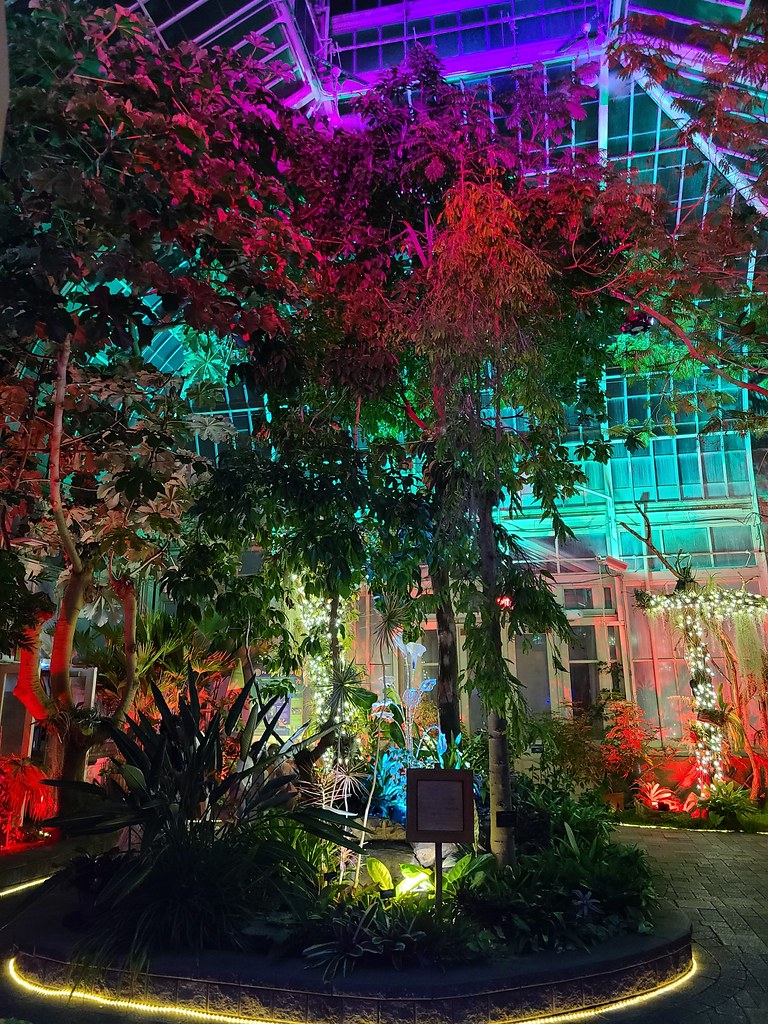 Amazing nighttime display at the botanical gardens ! Flickr