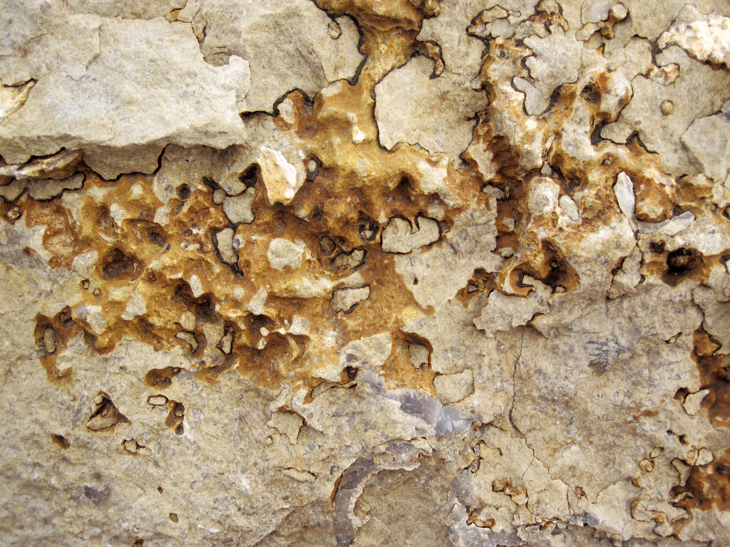 Stylolite in limestone (Columbus Limestone, Middle Devonian; Quarry