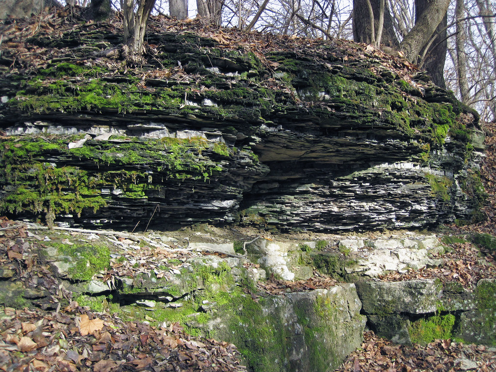 Delaware Limestone over Columbus Limestone (Middle Devonia… Flickr