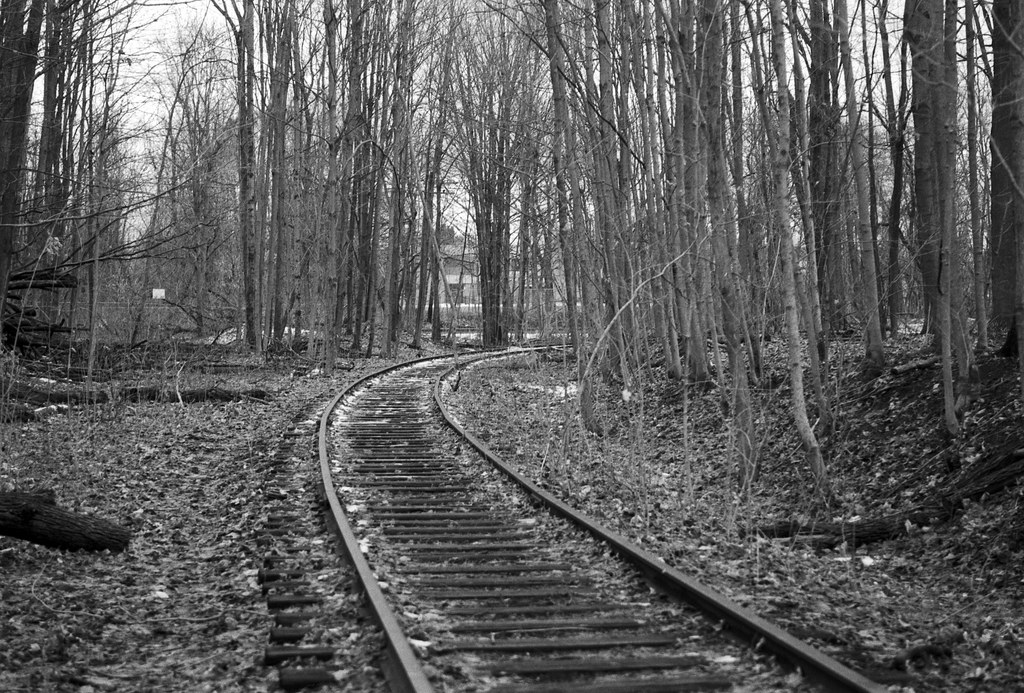 Developer Review Blog No. 29 Ilford Ilfotec LC29 Alex Luyckx Blog