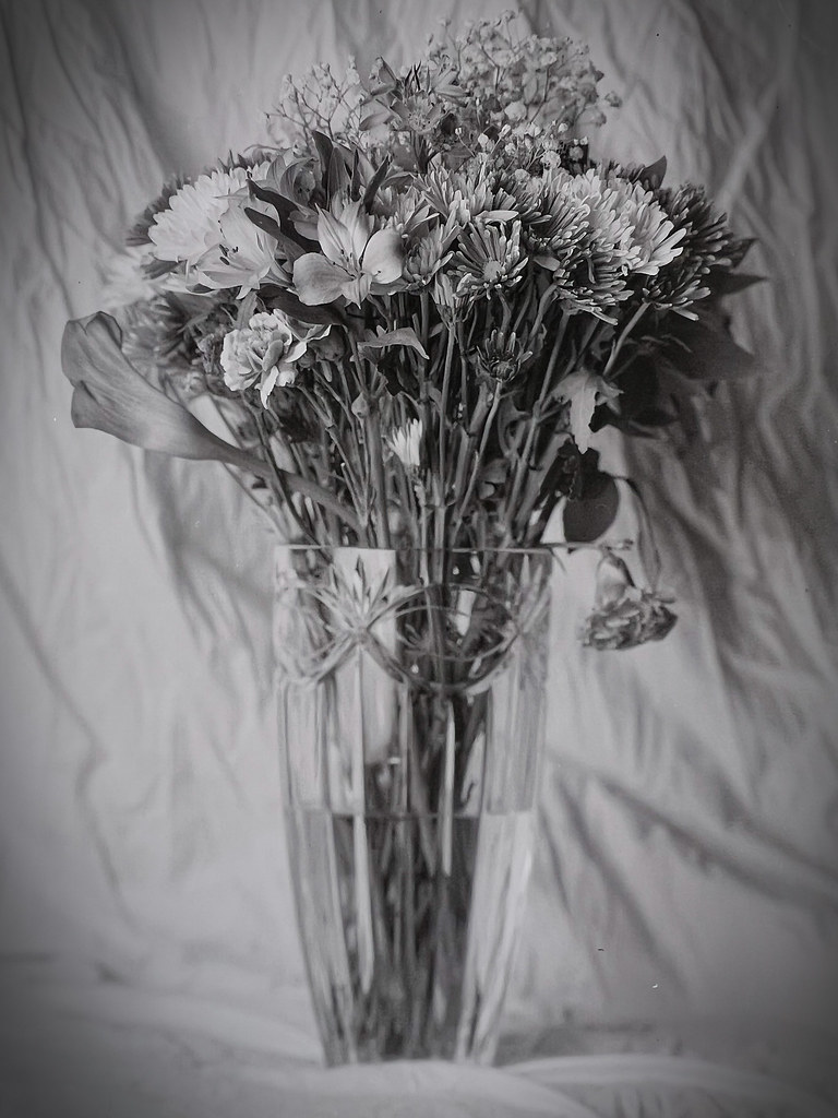 Flowers in Vase Black and white film of flowers in vase on… Flickr