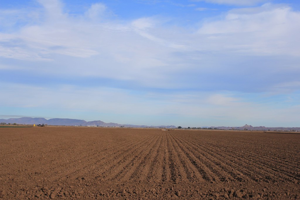 Yuma produce. mattino (4) Mina e Gianni Occidentale Flickr