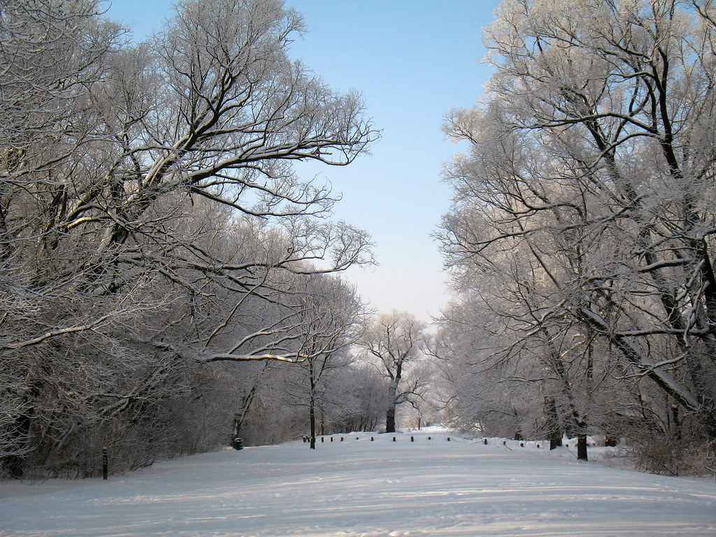 Magical snow forest In Eramosa River Park, Guelph, where I… Flickr