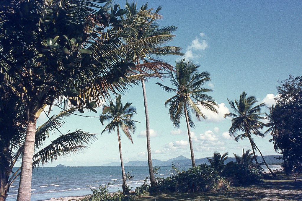 Newell Beach, Qld. AY8238 dunedoo Flickr