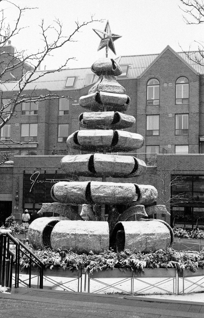 Oakville Christmas Tree 2021 Bill Smith Flickr