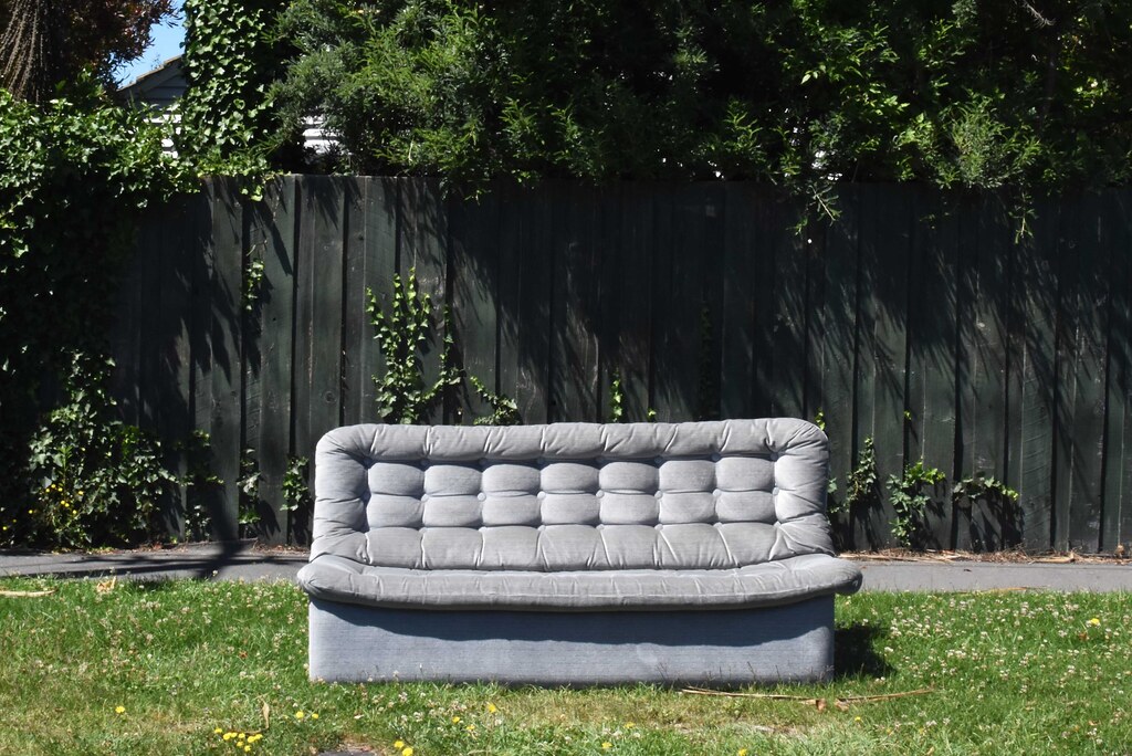 silver fox The Couches of Christchurch, New Zealand Stephen Trinder