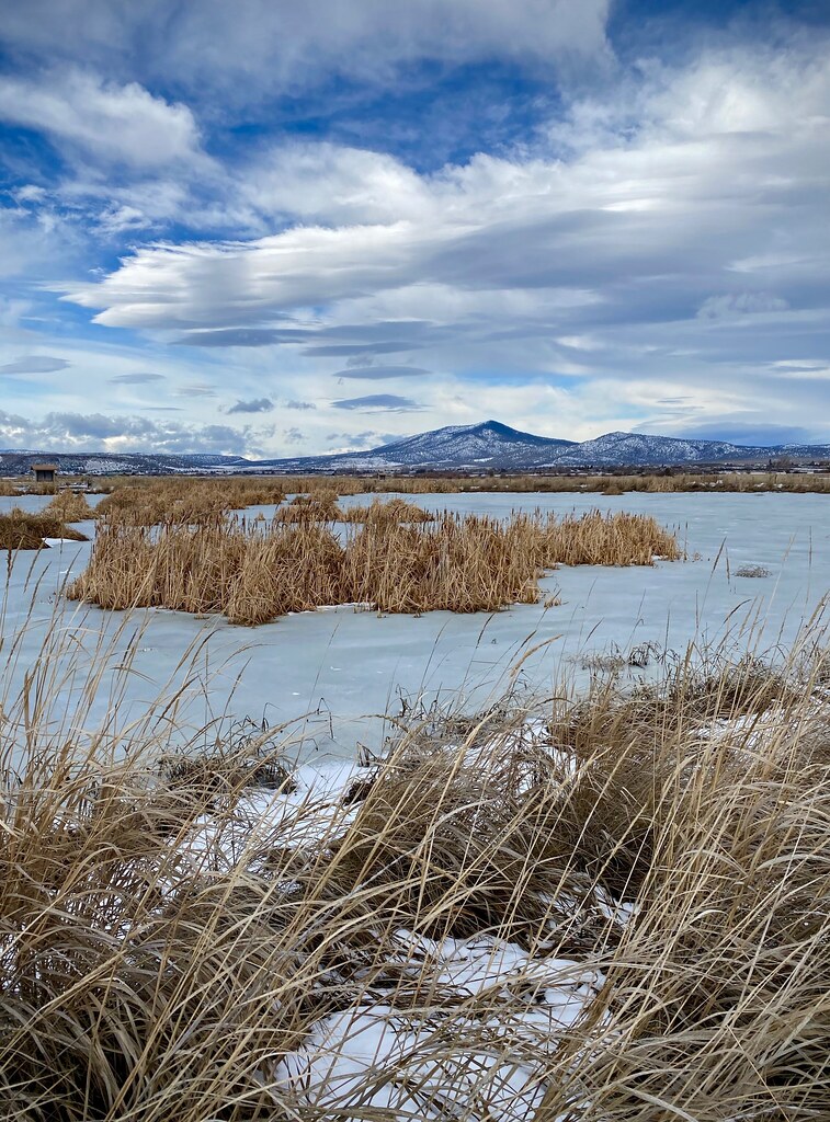 Crooked River Wetlands Prineville, Oregon Joan Amero Flickr
