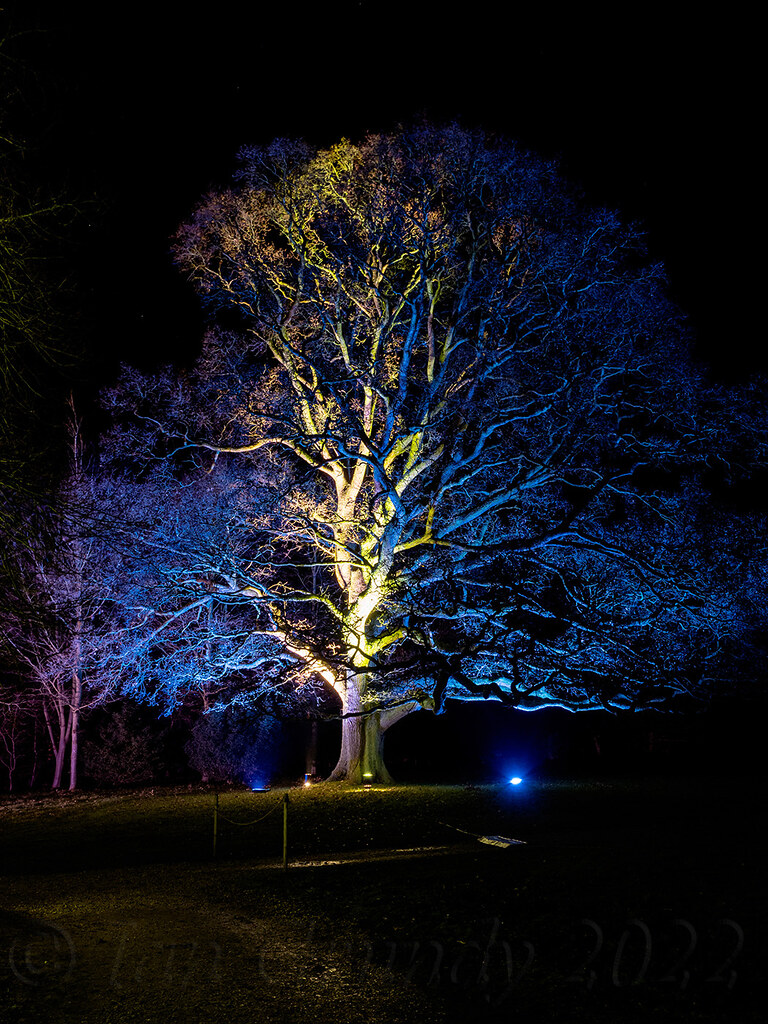 Belton Xmas Lights 5289 Belton House Christmas Lights. Bel… Flickr