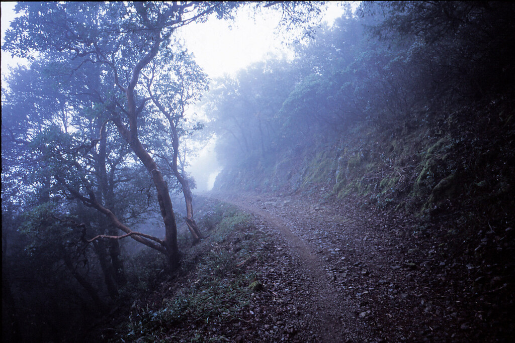 Eldridge Trail Shot with Ricoh GR1 slightly expired Fuji P… Flickr
