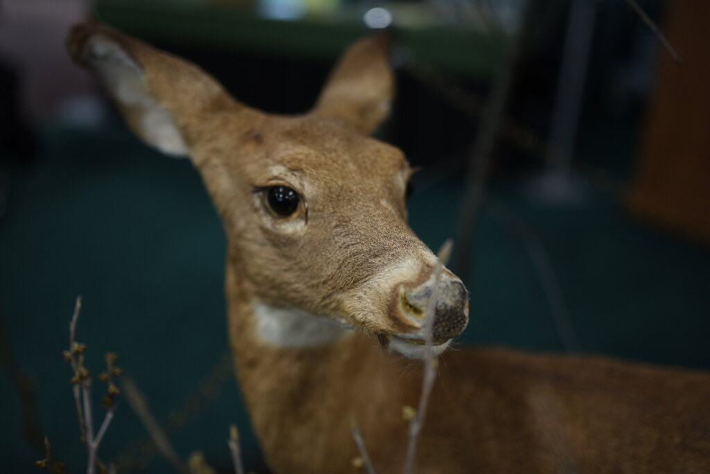 PA WoodMobile 2022 The Pennsylvania WoodMobile is a travel… Flickr