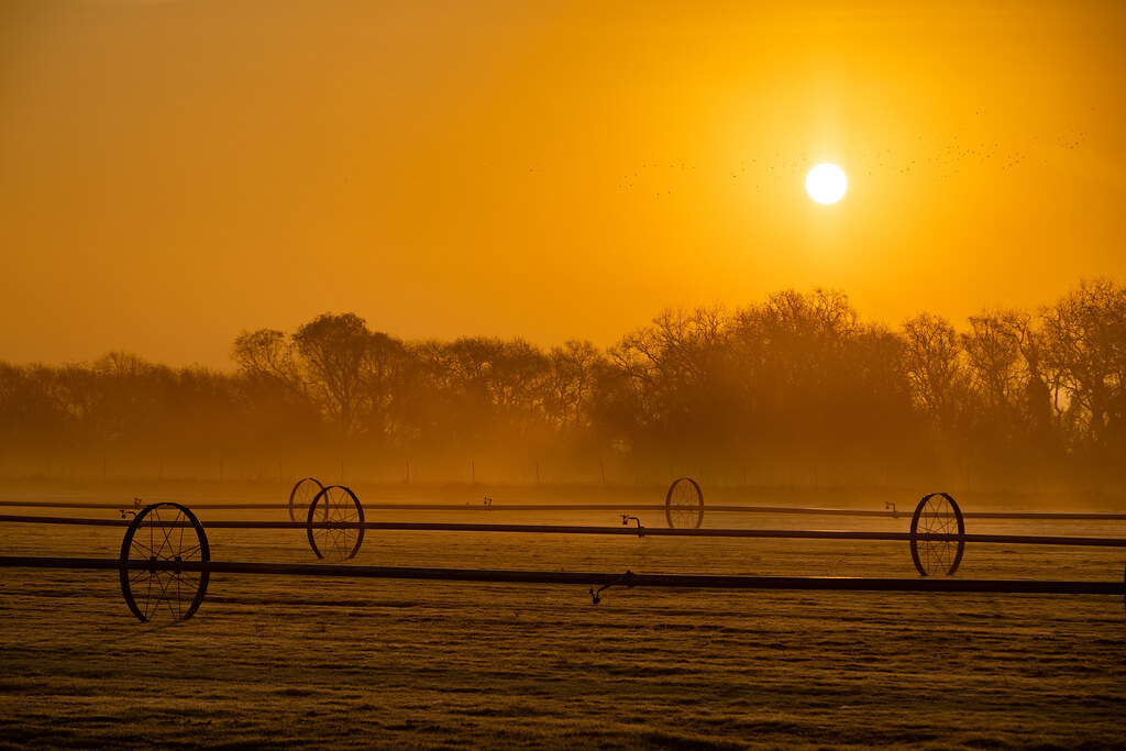 Grass Farm St. Augustine Grass Farm on the Texas Coastal P… Flickr