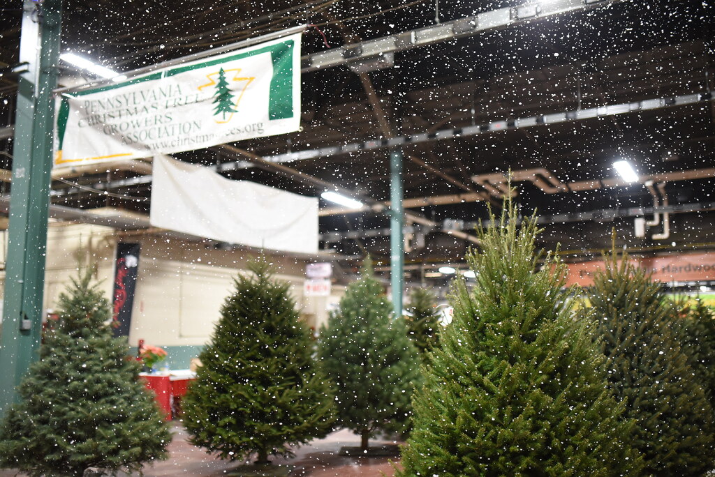 Pennsylvania Christmas Tree Growers Association Experience… Flickr