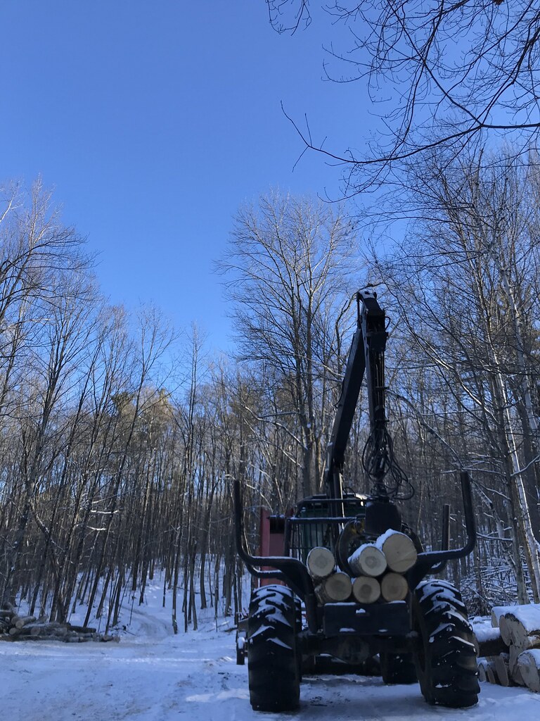 Pride Hikes Hinesburg Town Forest. January 2022 Flickr