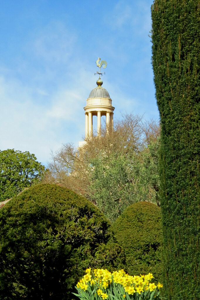 Filoli Clock Tower background Daffodils foreground 2015022… Flickr