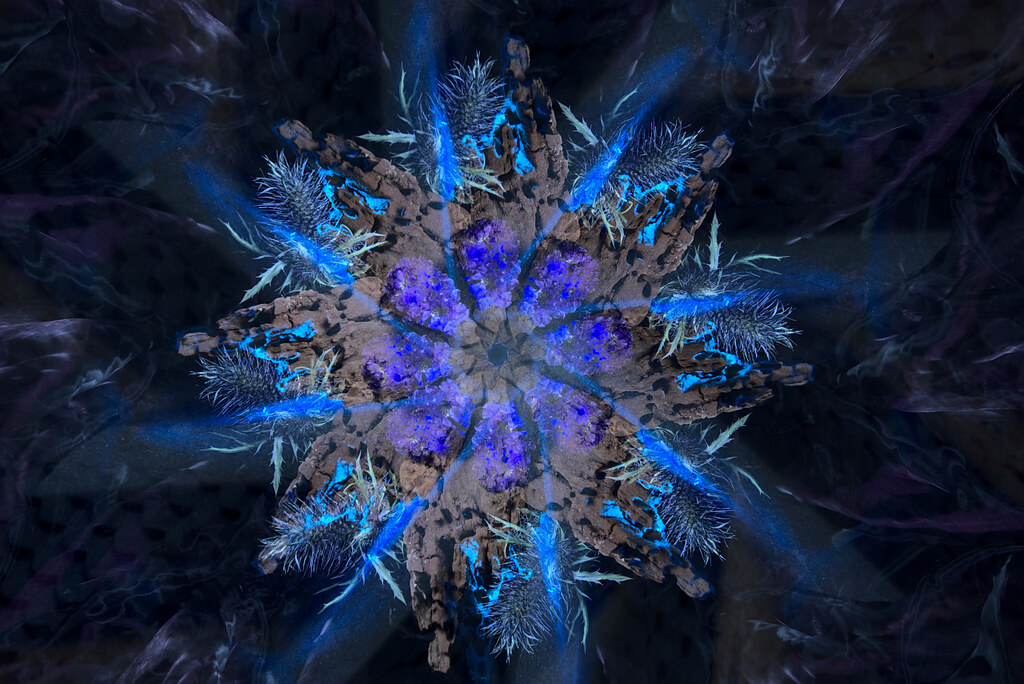 Flower Rotation 22/6 Camera Rotation Light Painting one si… Flickr