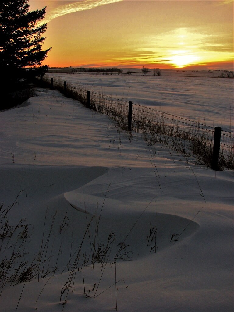 North Dakota Winters... They get a little snow... Flickr
