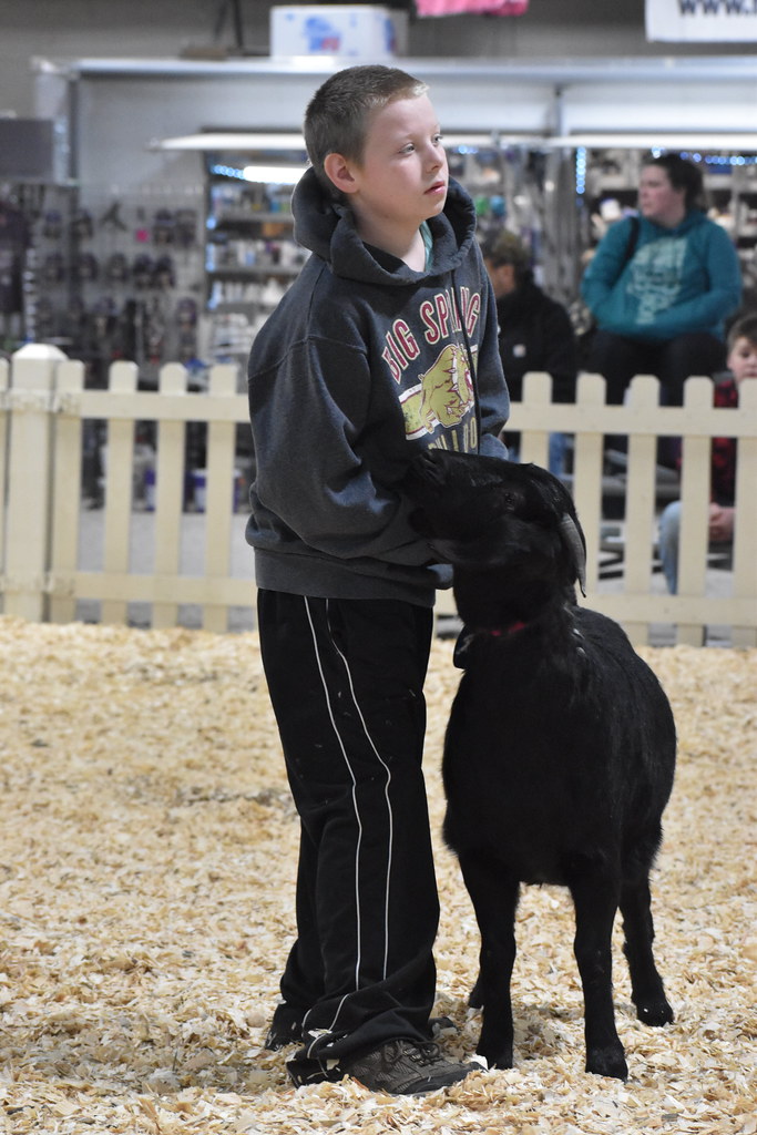 2022 Junior Meat Goat Showmanship Showman Brandon Burkhold… Flickr