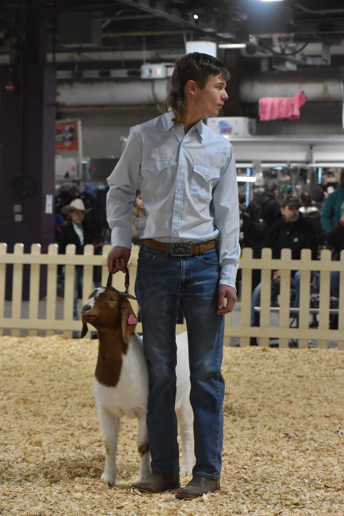 2022 Junior Meat Goat Showmanship Showman Drew Smith of La… Flickr