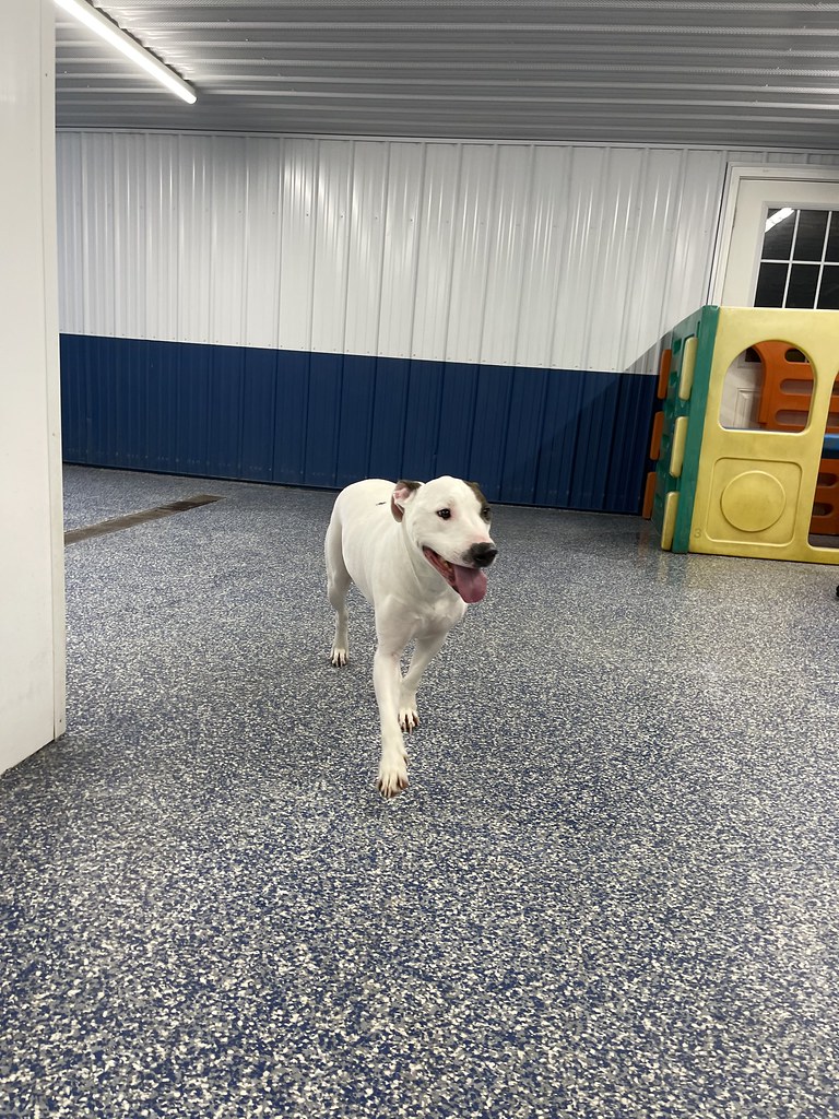 IMG_2920 Greenlin East Flickr