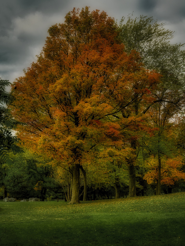 October before the rain Gilles Quenneville Flickr