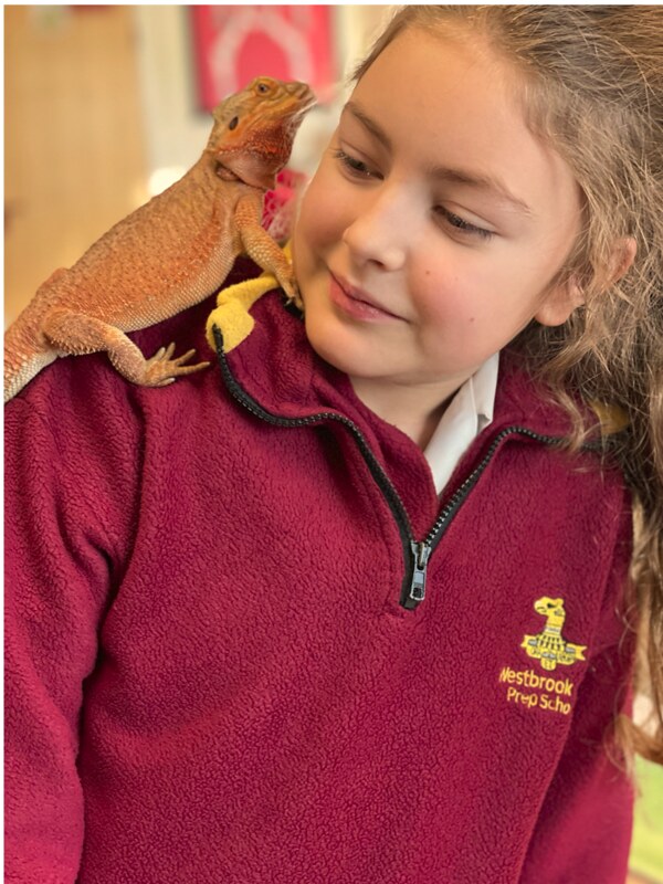 Pet Care Club Westbrook Hay School