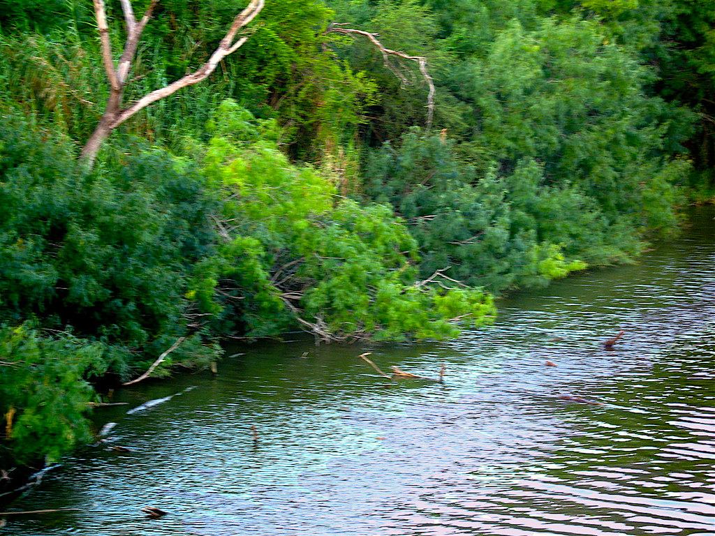 Resaca A Resaca in Brownsville. Texas near the University … Flickr