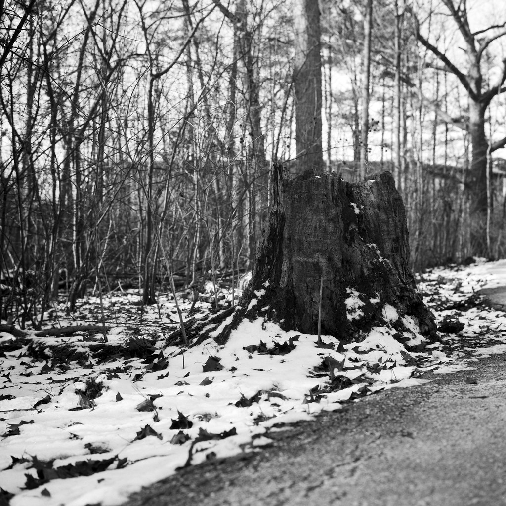 Developer Review Blog No. 29 Ilford Ilfotec LC29 Alex Luyckx Blog