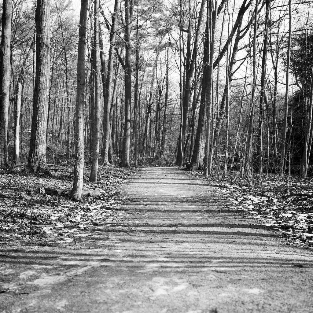 Developer Review Blog No. 29 Ilford Ilfotec LC29 Alex Luyckx Blog